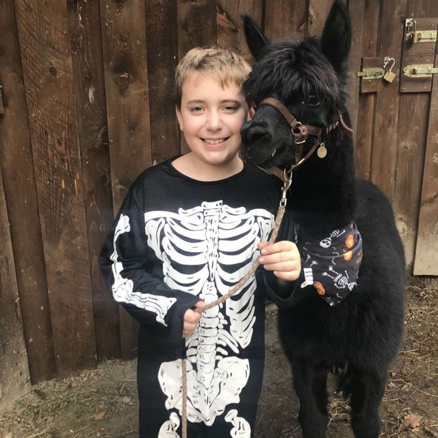 Mottowanderung Halloween