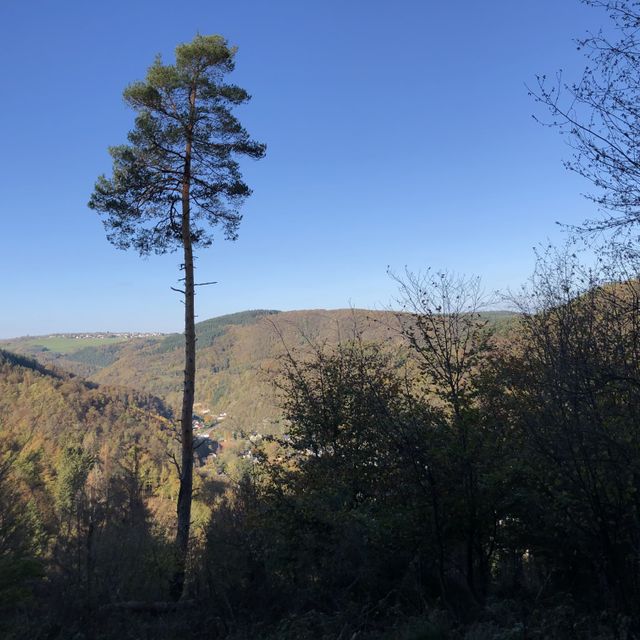 Blick aufs Tal