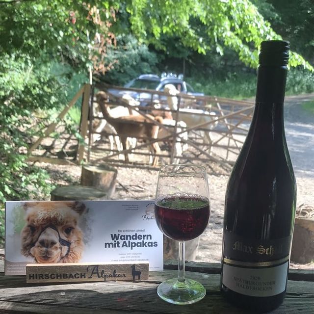 Weinprobe