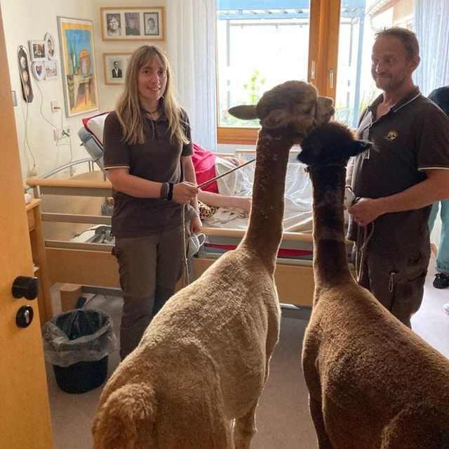 Seniorenheimbesuch